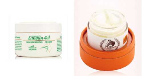 绵羊油和马油哪个好 绵羊油和马油有什么区别