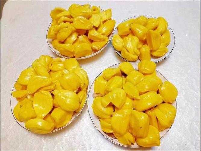 菠萝蜜不熟切开后还能再放熟吗