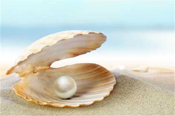 珍珠粉和什么做面膜好 珍珠粉做面膜的正确做法