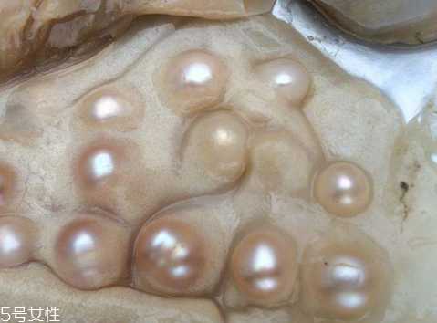 珍珠粉为什么调不粘稠 珍珠粉为什么调不粘稠