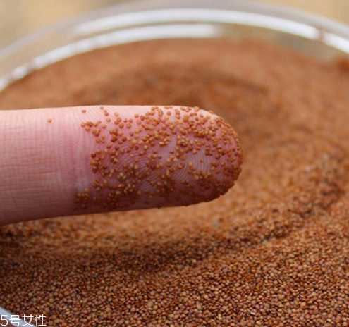 海藻面膜是哪个国家的?海藻面膜哪个牌子好用? 海藻面膜是哪个国家的?海藻面膜哪个牌子好用?