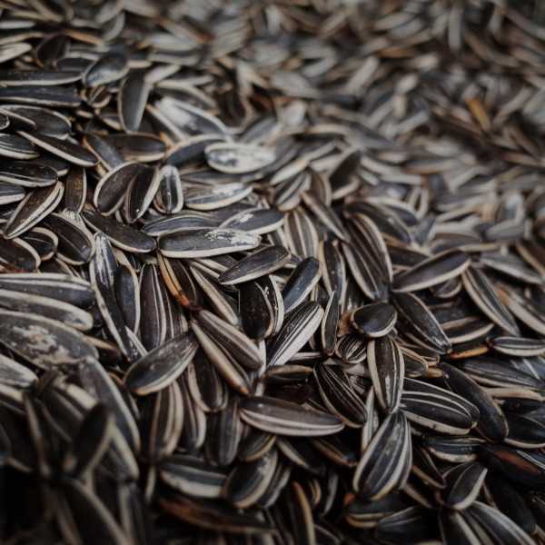 吃坚果有什么好处呢？吃坚果有什么注意事项？