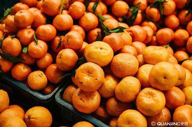 柑橘是热性还是凉性?柑橘的性质是什么? 柑橘是热性还是凉性?柑橘的性质是什么?