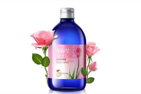 玫瑰纯露要用什么玫瑰 玫瑰纯露要用什么玫瑰