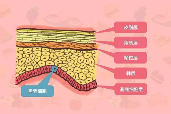 彩光对皮肤有什么用 彩光对皮肤有什么用
