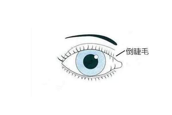 种完睫毛可以化妆吗