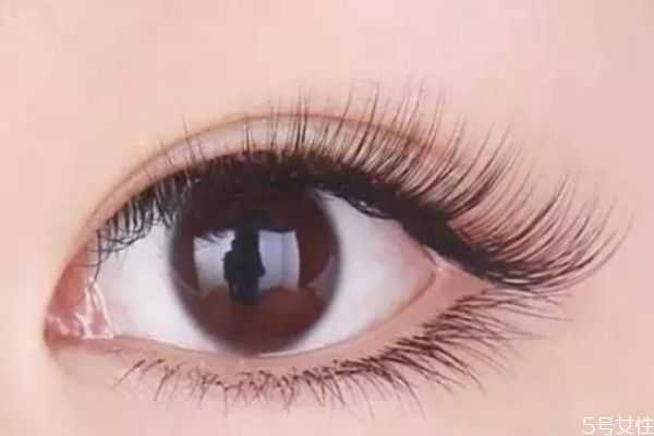 烫睫毛对睫毛有没有伤害?烫睫毛会伤睫毛吗 烫睫毛对睫毛有没有伤害?烫睫毛会伤睫毛吗