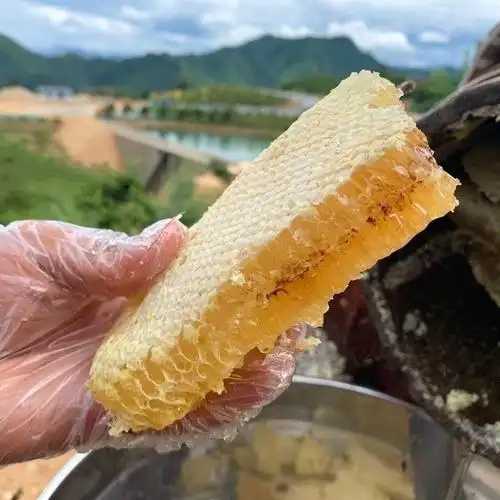 蜂巢怎么吃好？简单了解蜂巢的吃法