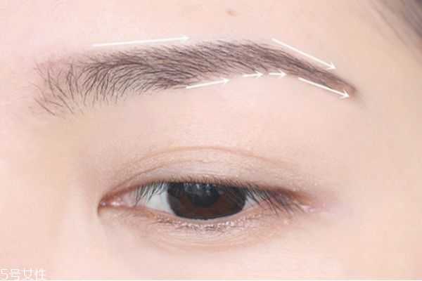 鼻影怎么画好看图解 鼻影的画法步骤