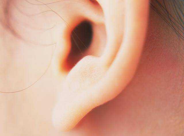 女人哪个部位最敏感？