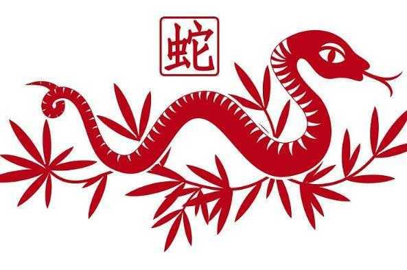 容易得大病的三大生肖 容易得大病的三大生肖