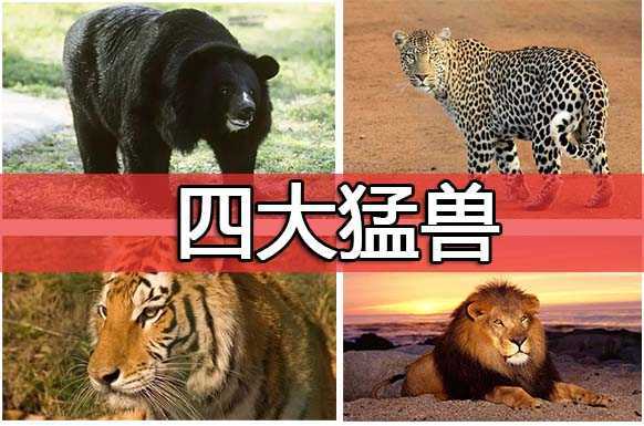 四大猛兽指什么动物 四大猛兽指什么动物