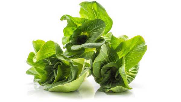 蜂蜜加醋能减肥吗？蜂蜜加醋的吃法是什么？