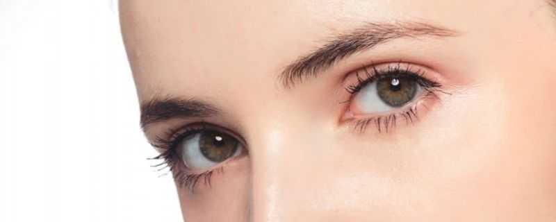 画眉必备工具有哪些 画眉必备工具有哪些