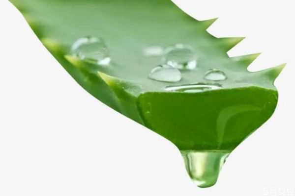 新鲜的芦荟汁可以直接涂抹在脸上吗？芦荟汁直接涂脸吗