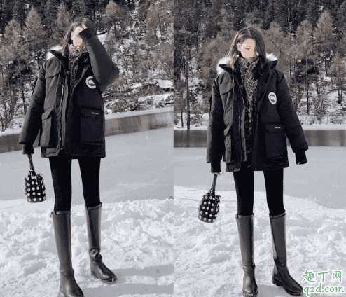 白色加拿大鹅耐脏吗？加拿大鹅买黑色还是白色