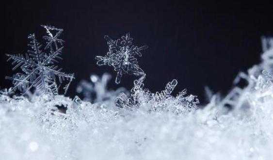 降雪能冻死病毒?