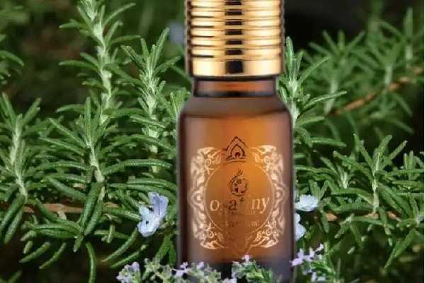 迷迭香精油可以用在脸上吗 迷迭香精油可以用在脸上吗