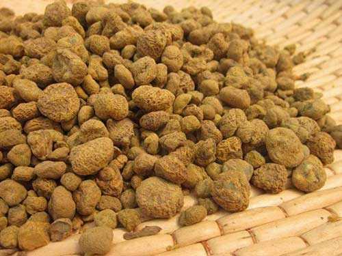 延胡索的功效与作用及禁忌 中药延胡索有什么作用 延胡索的功效与作用及禁忌 中药延胡索有什么作用