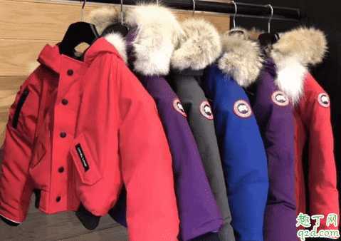 为什么那么多人穿加拿大鹅?矮个子可以穿加拿大鹅吗 为什么那么多人穿加拿大鹅?矮个子可以穿加拿大鹅吗