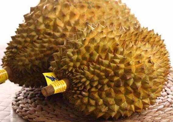 没开口的榴莲要放几天才能熟