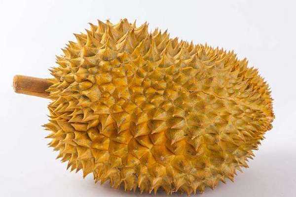 孕妇可以吃杏吗 孕妇可以吃杏吗