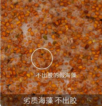 海藻面膜怎么用？手把手教你正确敷