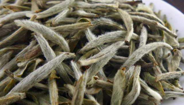 白茶的功效与作用