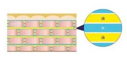 干皮怎么防晒最有效 3步就搞定干皮防晒