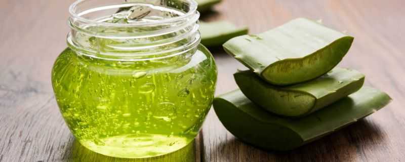 使用芦荟胶的时候要注意什么 使用芦荟胶的时候要注意什么