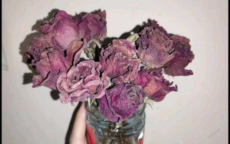 制作的玫瑰干花发霉了怎么办 制作的玫瑰干花发霉了怎么办