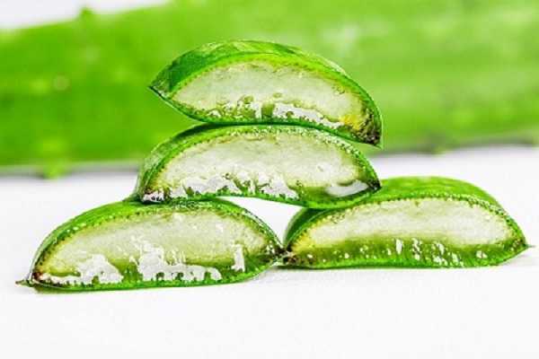 芦荟胶涂脸上过一夜好吗? 芦荟胶涂脸上过一夜好吗?