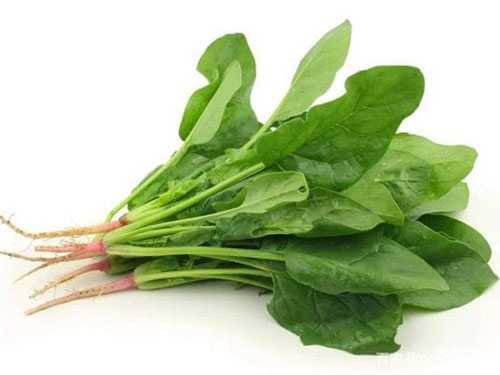 肾结石怎么有效预防?有效预防肾结石的8个小方法 肾结石怎么有效预防?有效预防肾结石的8个小方法