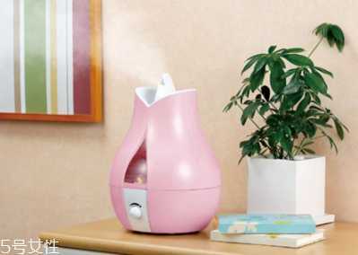 加湿器里面可以放精油吗?加湿器中加什么好 加湿器里面可以放精油吗?加湿器中加什么好
