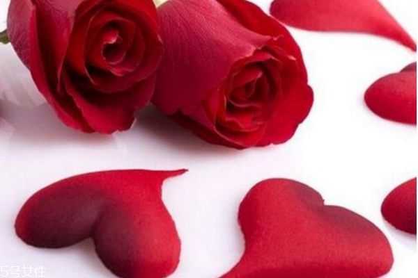 玫瑰水和爽肤水的区别