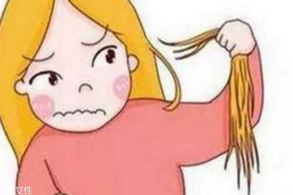 毛欢育毛剂有用吗