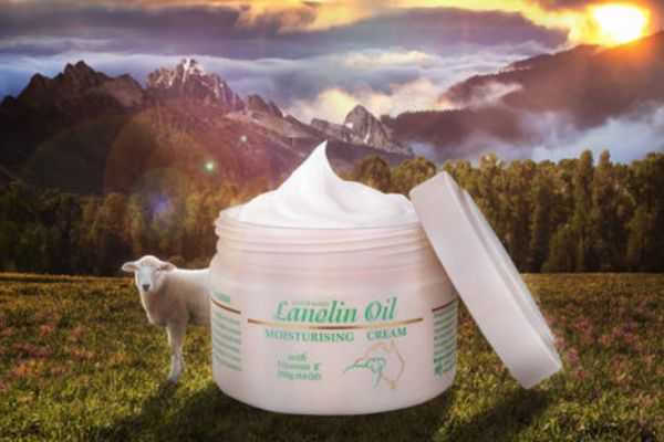 绵羊油和绵羊脂有什么区别 绵羊油和绵羊脂有什么不同 绵羊油和绵羊脂有什么区别 绵羊油和绵羊脂有什么不同