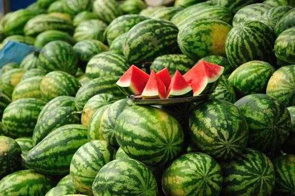 5种减肥人必备零食 5种减肥人必备零食