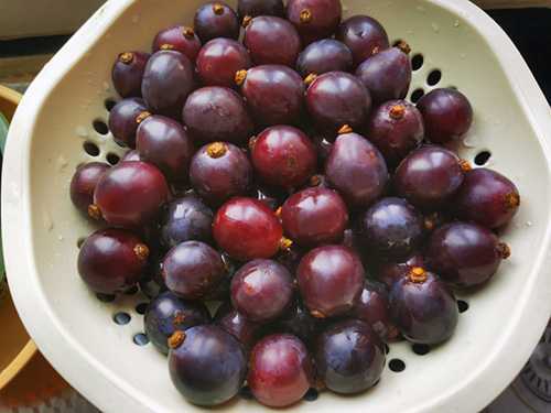 晴王葡萄为什么这么贵？晴王是葡萄还是提子