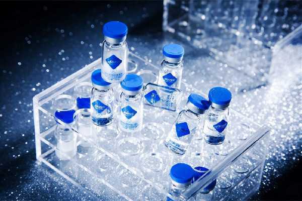 冻干粉天天用好不好