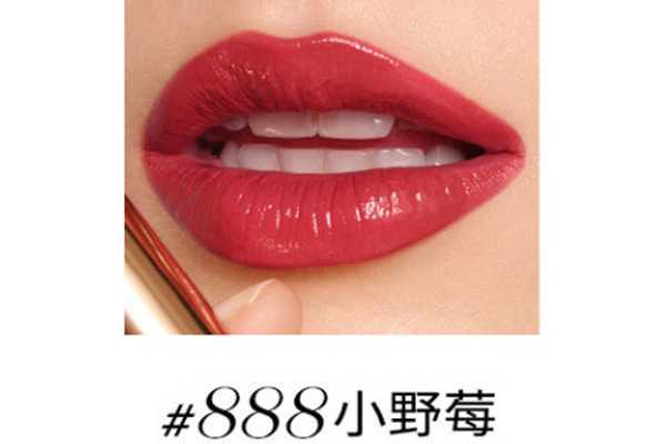 兰蔻黄皮必入的口红 兰蔻黄皮必入的口红