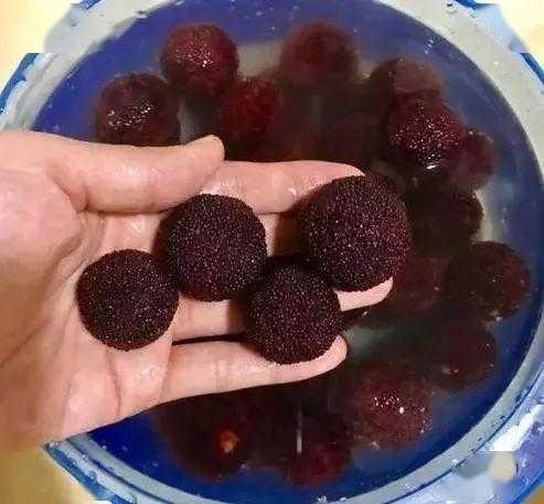 杨梅长毛了用盐水泡泡能吃吗