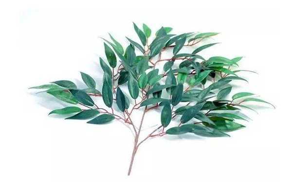 苏菲娜蓝蕾丝适用肌肤