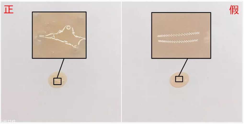 雅诗兰黛小棕瓶精华真假辨别方法