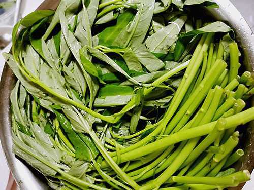空心菜要不要焯水?空心菜怎么炒不变黑又嫩好吃 空心菜要不要焯水?空心菜怎么炒不变黑又嫩好吃