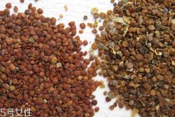 海藻面膜是清洁面膜吗？海藻属于清洁性面膜吗？