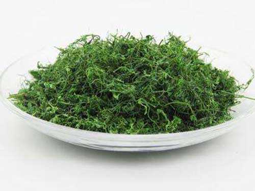 龙须是什么样的东西?龙须茶主要生长在哪里 龙须是什么样的东西?龙须茶主要生长在哪里