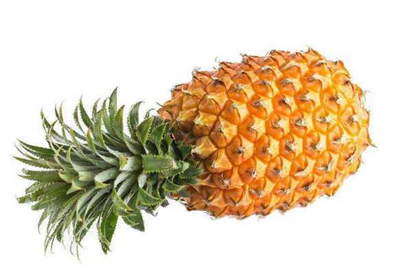 孕妇可以吃杏吗 孕妇可以吃杏吗