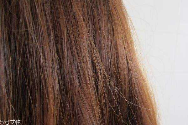 洗头先用护发素正确吗