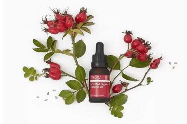 Trilogy玫瑰果油油皮能用吗?Trilogy玫瑰果油油皮会油吗 Trilogy玫瑰果油油皮能用吗?Trilogy玫瑰果油油皮会油吗